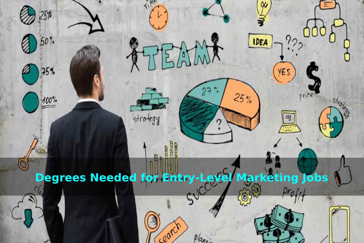 Degrees Needed for Entry-Level Marketing Jobs