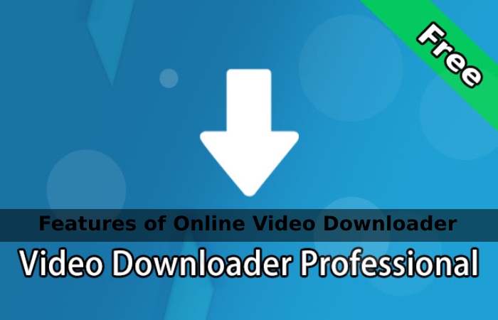 Features of Online Video Downloader