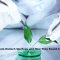 Fortunate Biotech Startups and How They Found Success