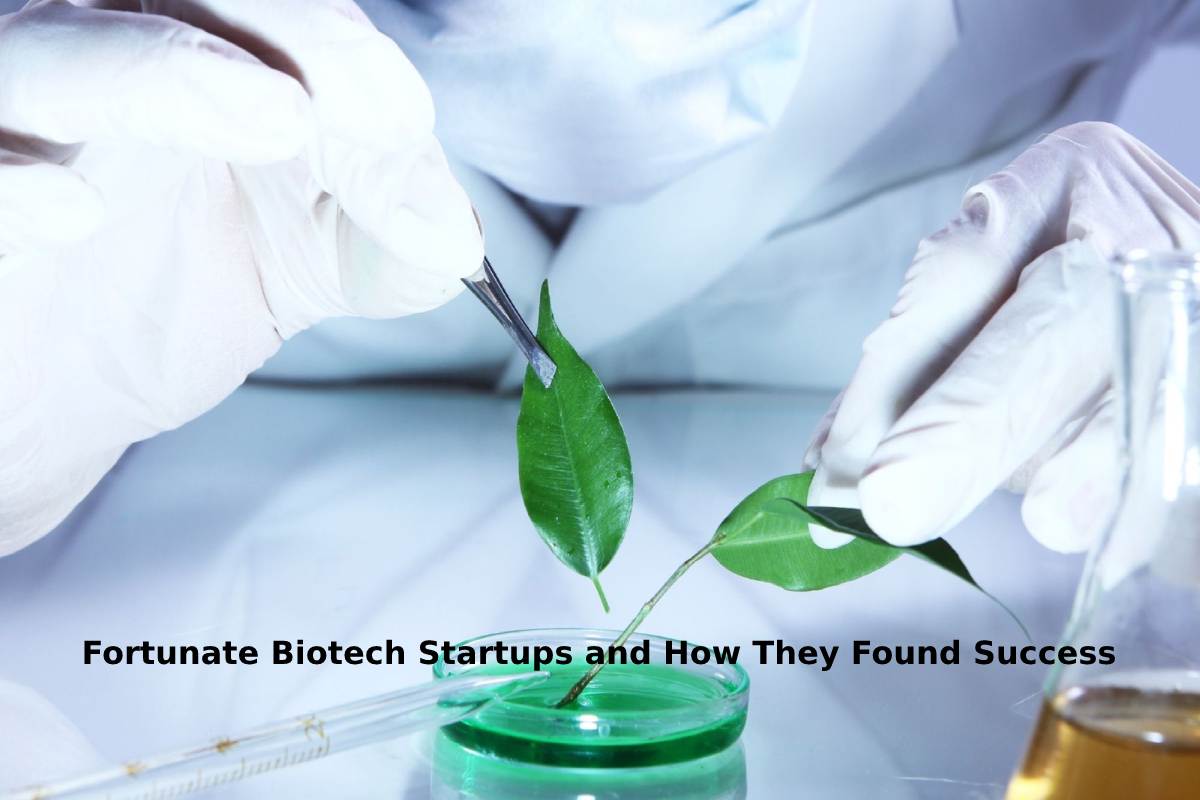Fortunate Biotech Startups and How They Found Success