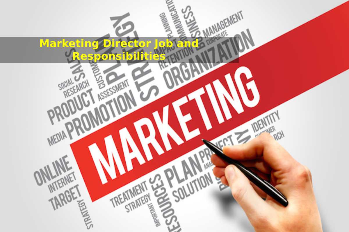 Marketing Director Job and Responsibilities