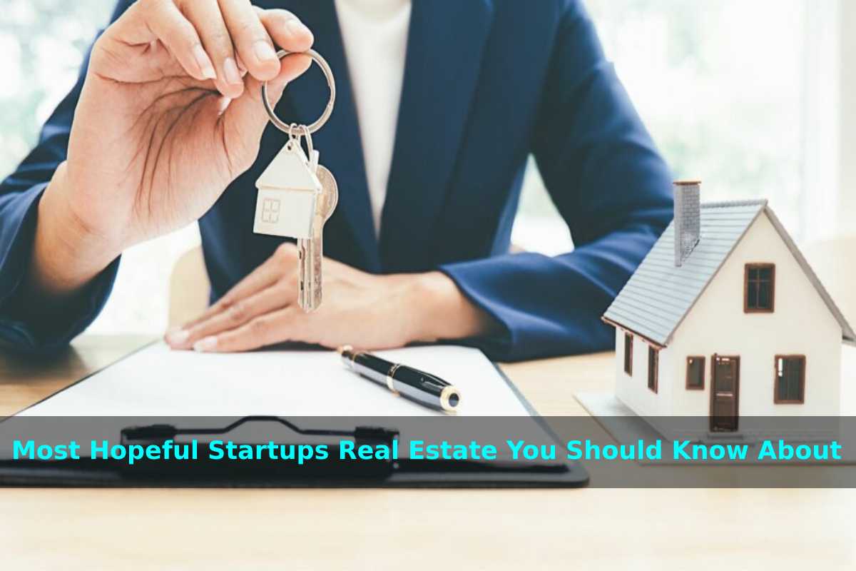 Most Hopeful Startups Real Estate You Should Know About