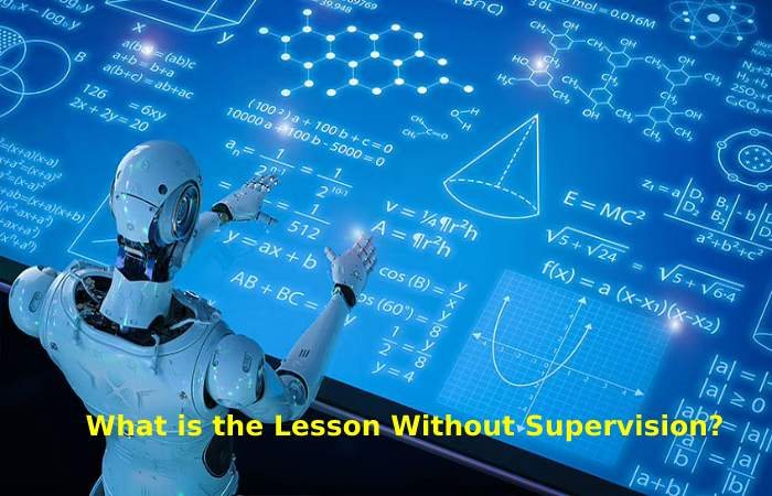 What is the Lesson Without Supervision_