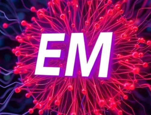 Evolutionary Computing - What Does EM Mean