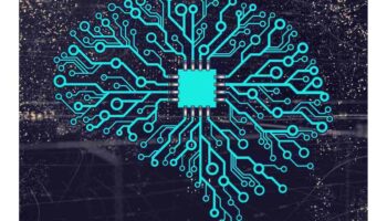 what is a neural network